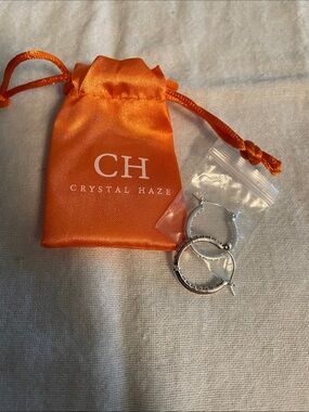 Crystal Haze Silver Hoop Earrings - Sparkling Pavé Detail